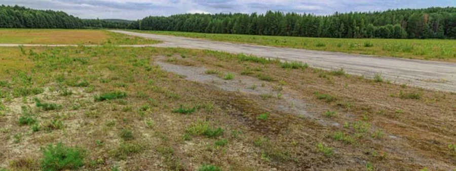 Vegetationen på flygfältet i Norberg är mycket intressant och särpräglad. FOTO: NILS RYRHOLM